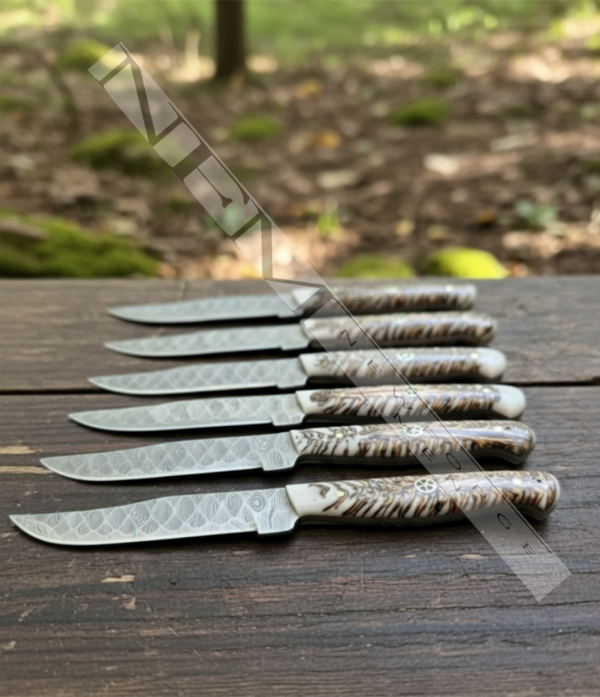 THE APEX DINNER SET OF 6 PIECES STEAKS KNIVES